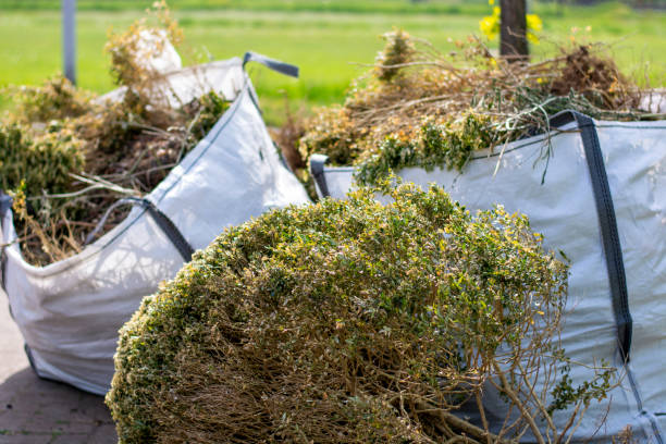 Best Furniture Removal Near Me  in Bogota, NJ